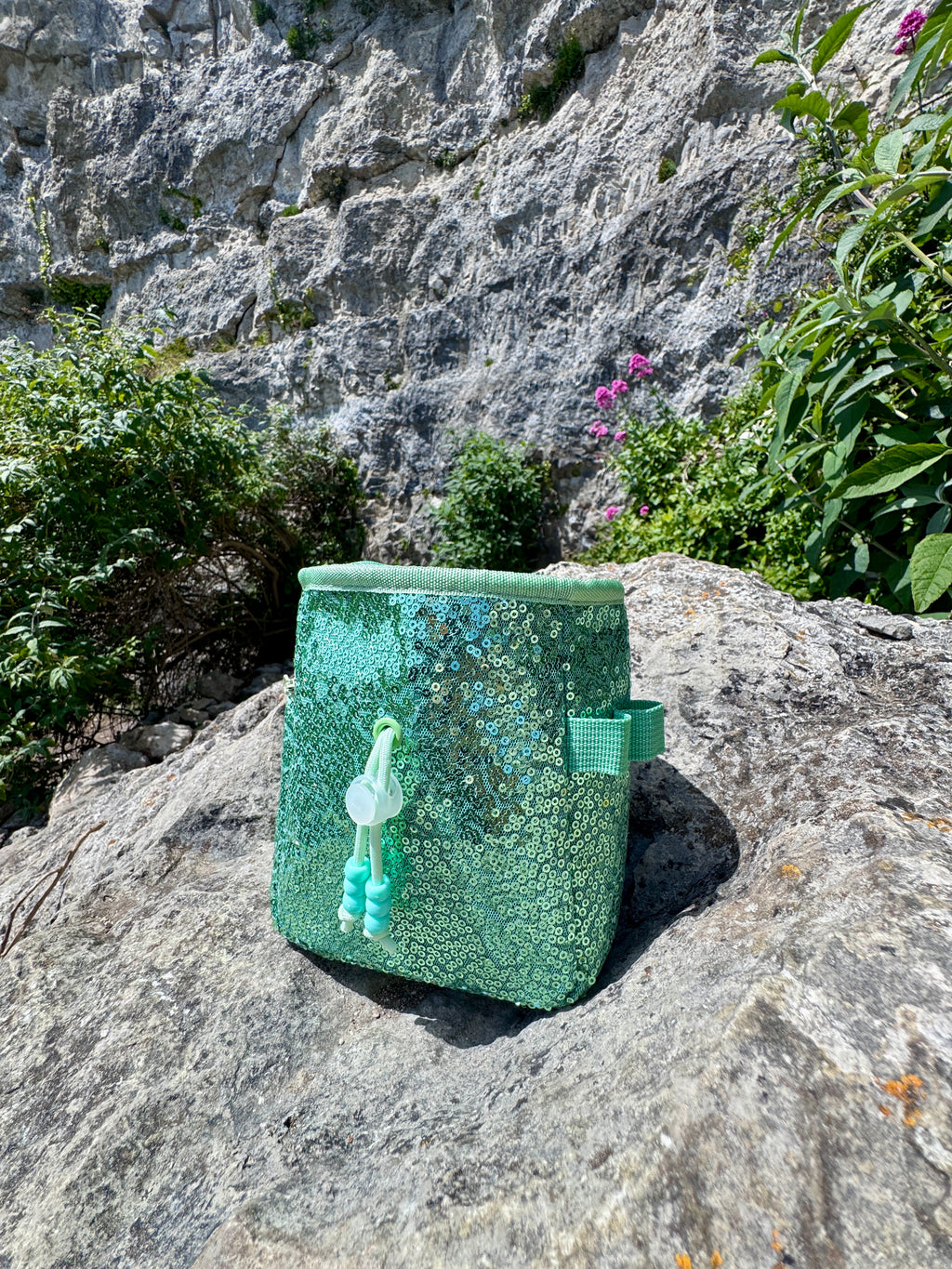 Sequin Chalk Bag in Eucalyptus