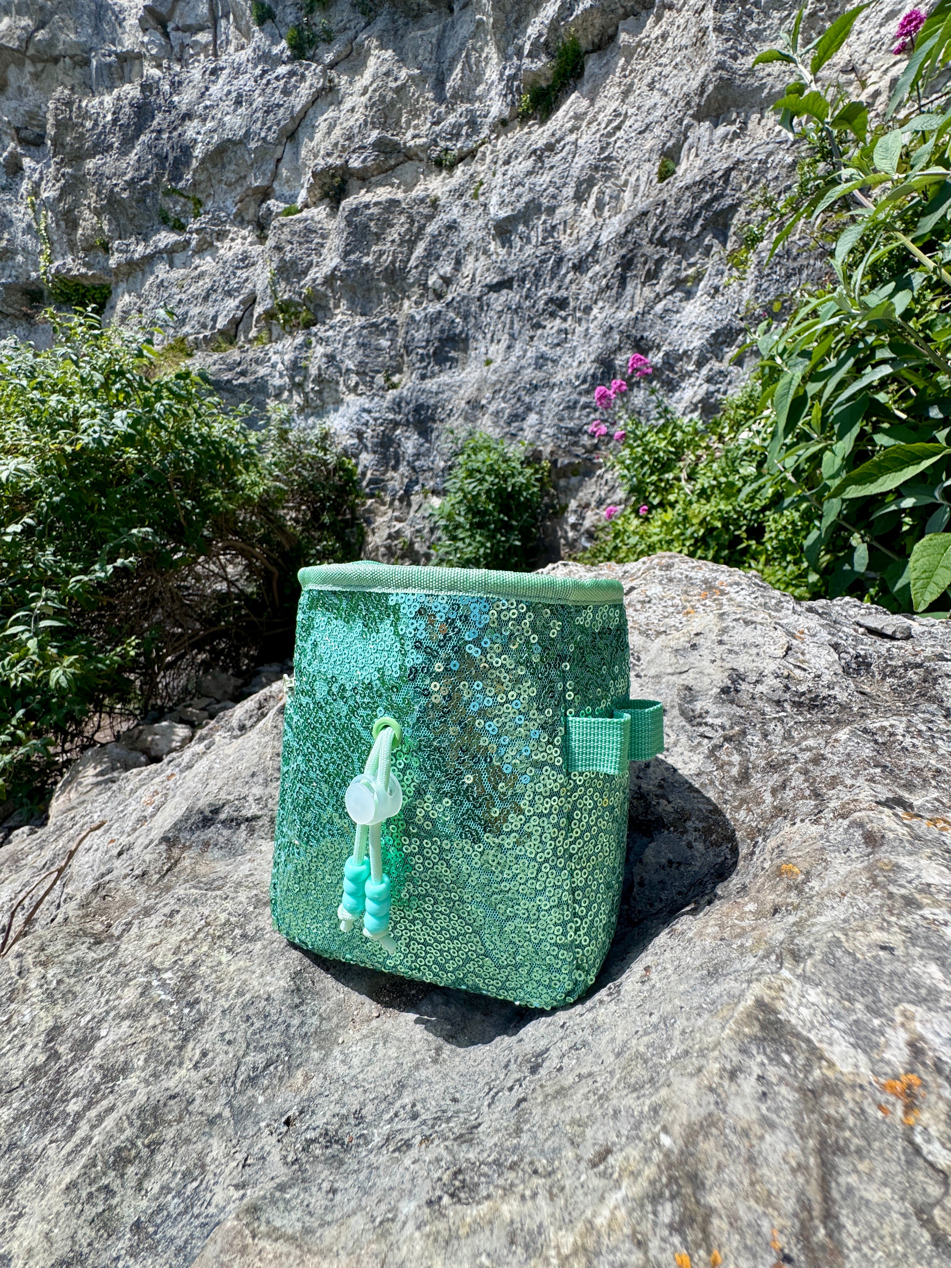 Sequin Chalk Bag in Eucalyptus
