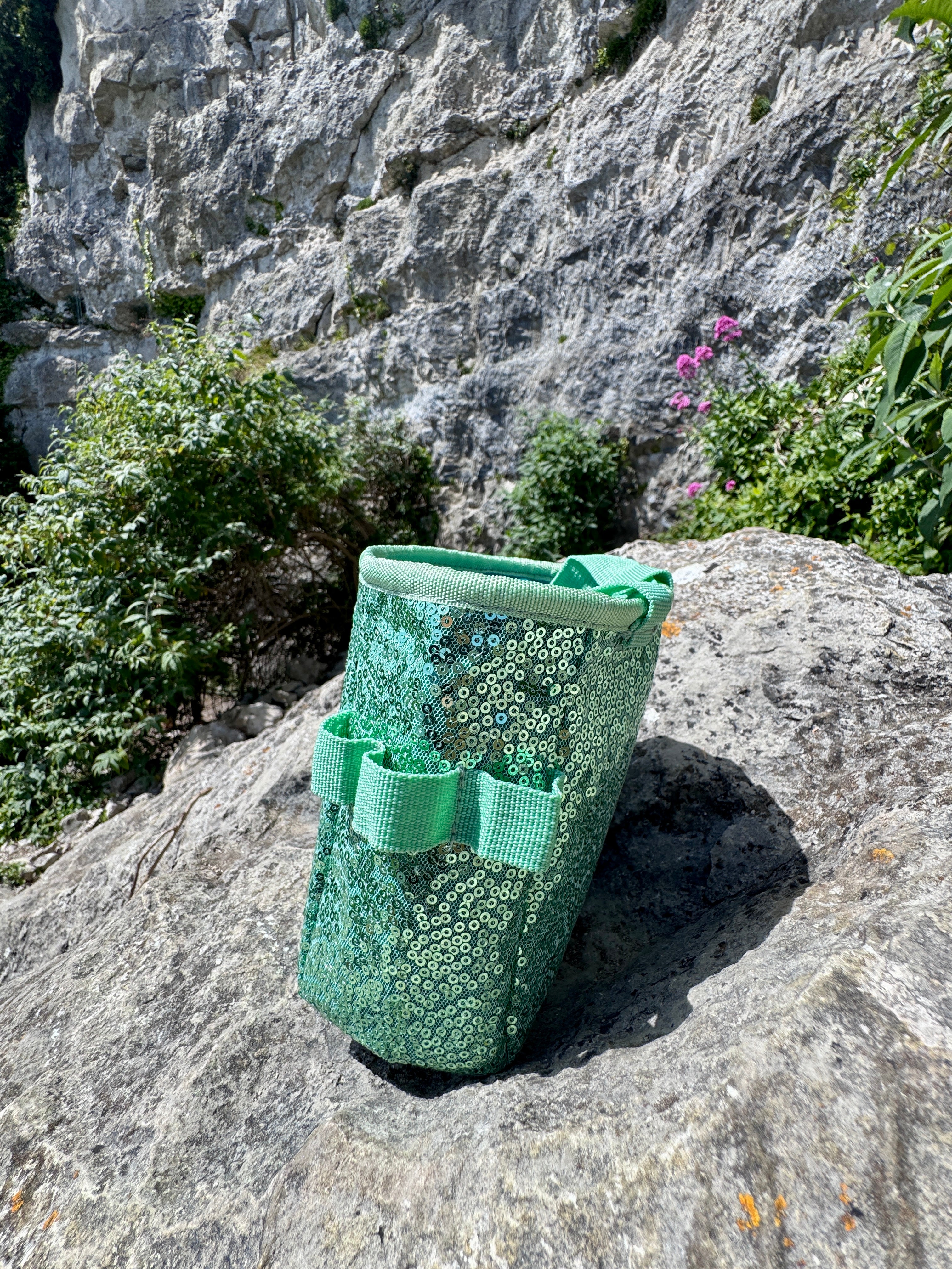 Sequin Chalk Bag in Eucalyptus
