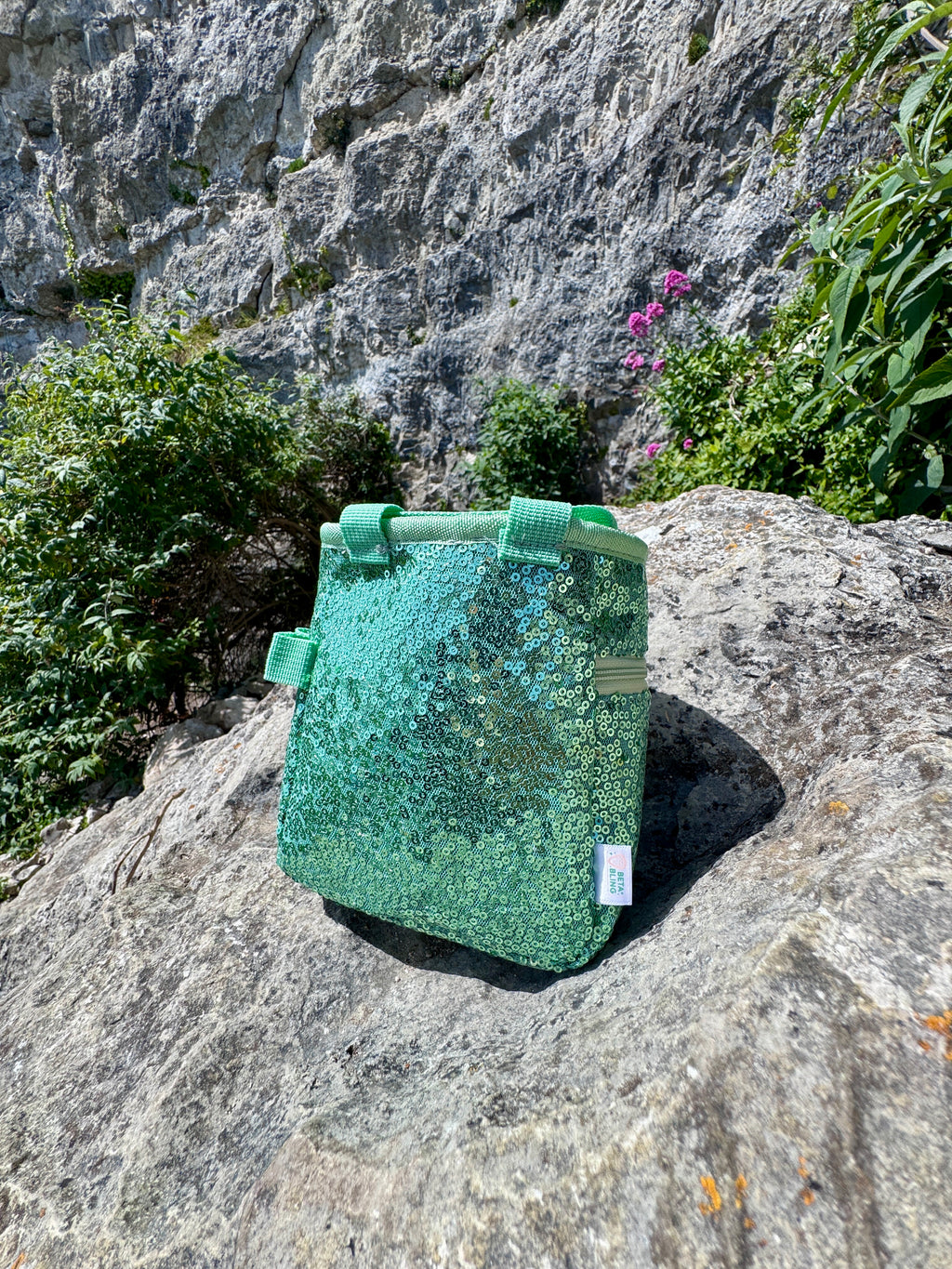 Sequin Chalk Bag in Eucalyptus