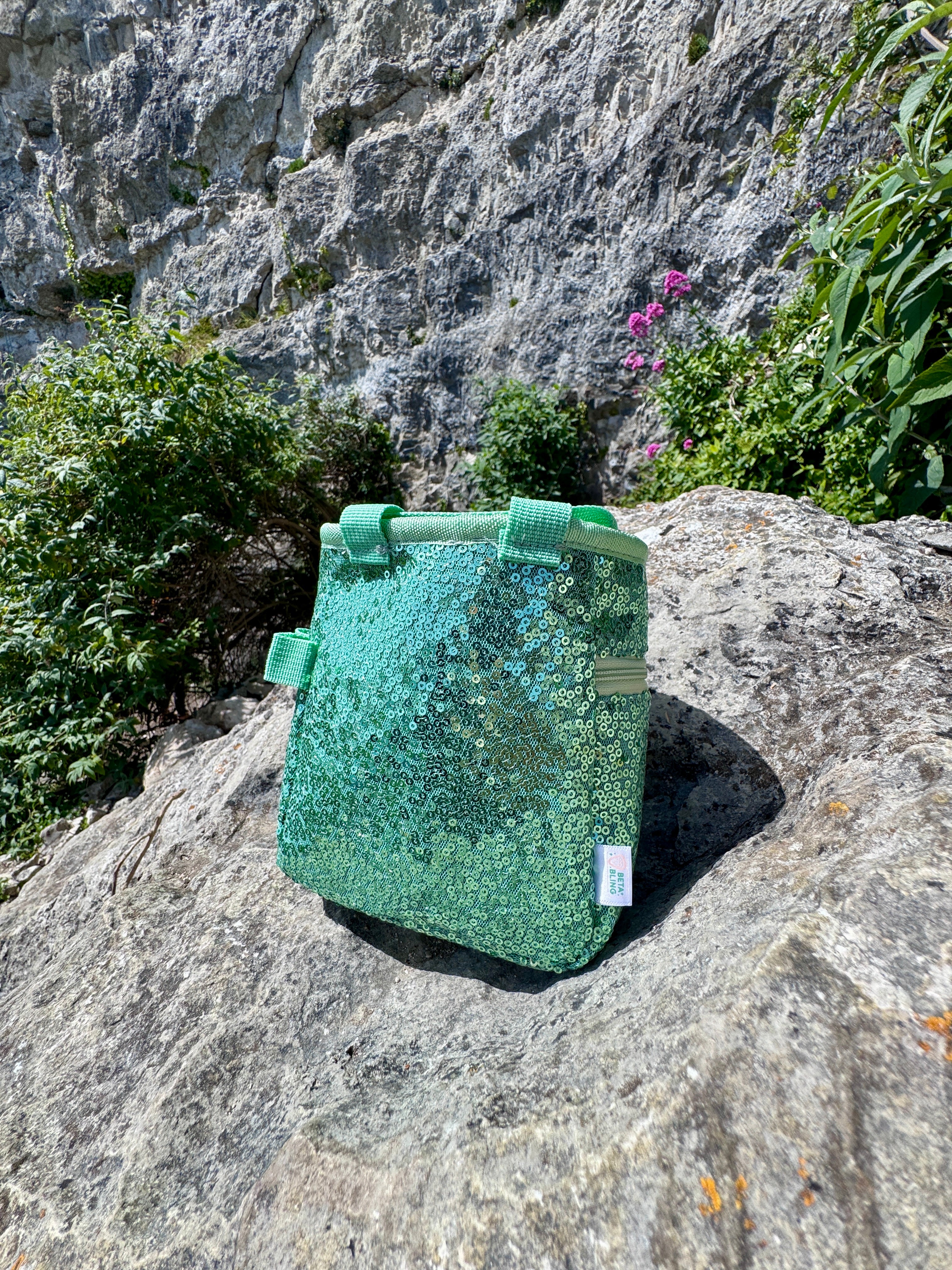 Sequin Chalk Bag in Eucalyptus